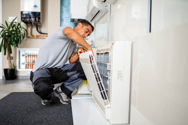 Air Duct Mold Removal in AL