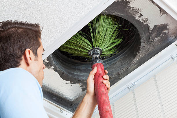 Best Affordable Duct Cleaning Services  in Cera, AL